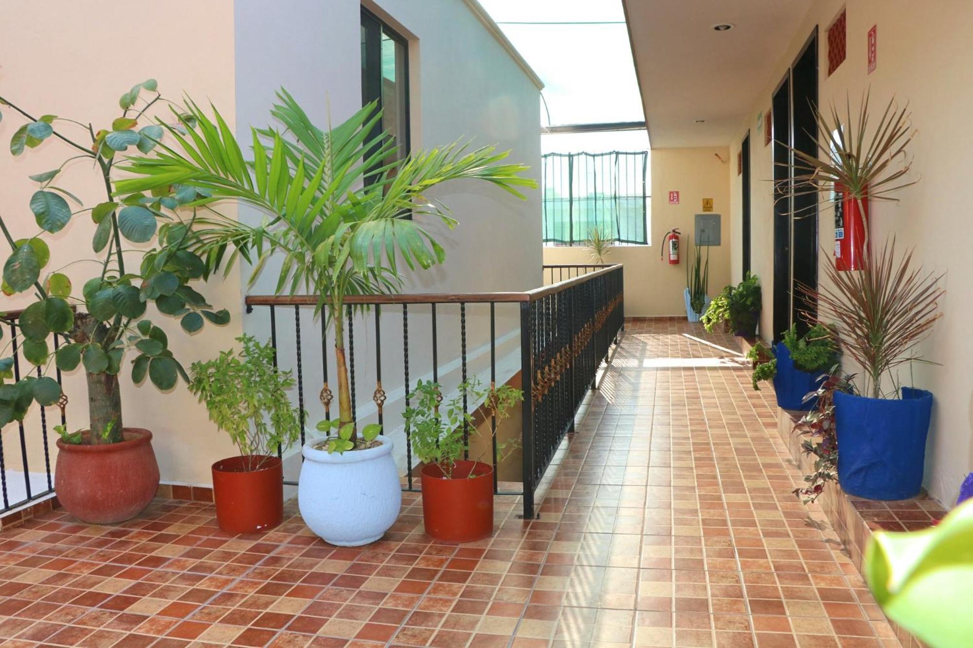 Hotel Casa Pellegrin Меріда Екстер'єр фото
